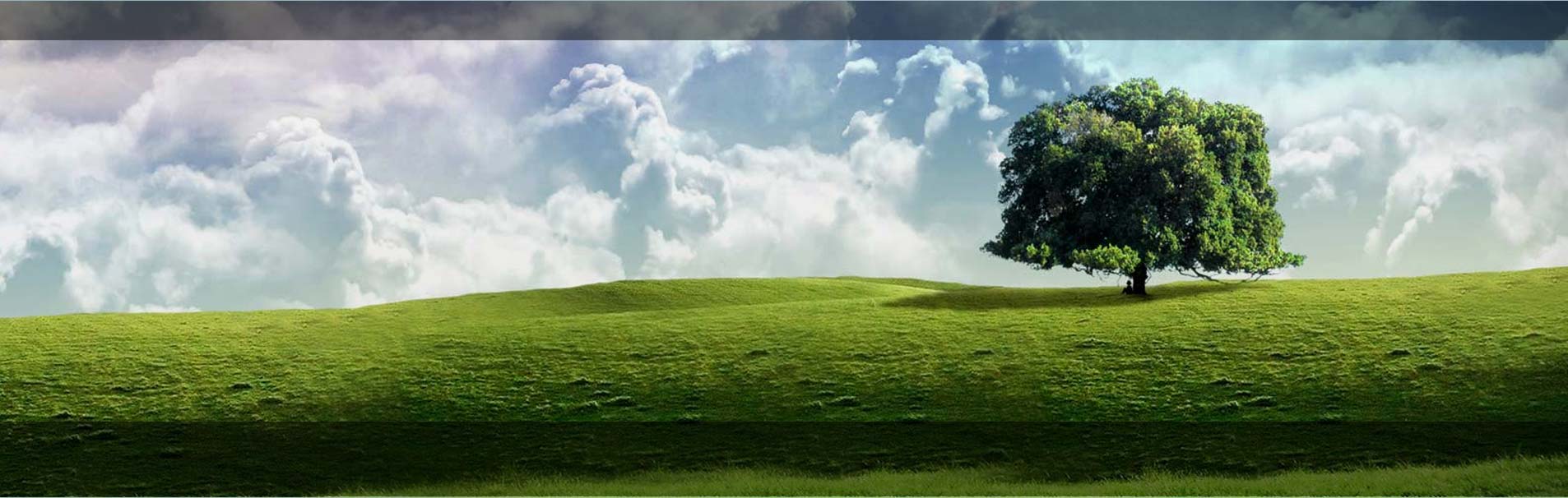 onoranze funebri roma