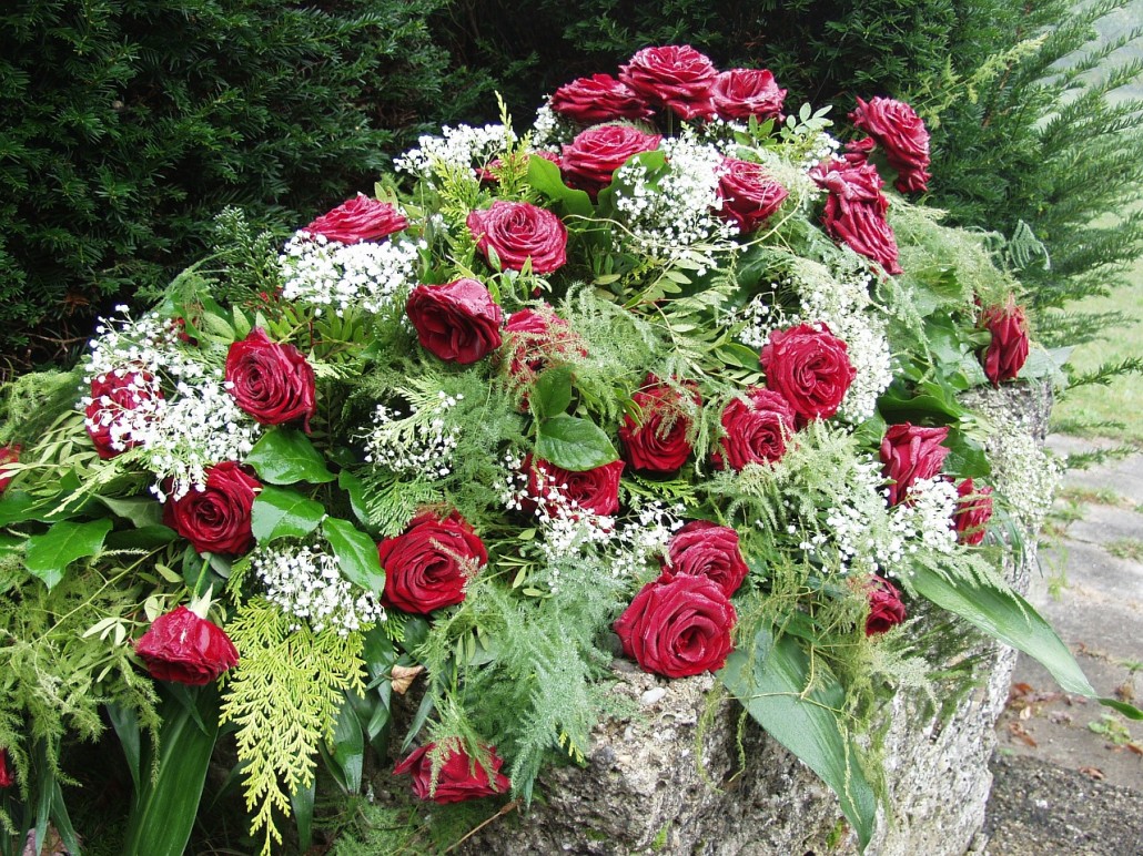 roses-61203_1280